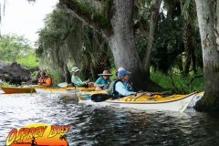 Myakka-river-2021-62
