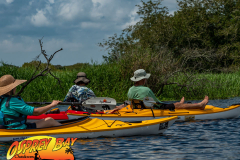 Myakka-river-2021-75