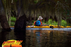 Myakka-river-2021-82