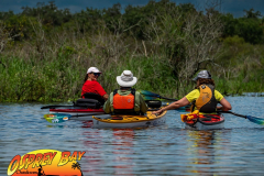 Myakka-river-2021-91