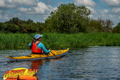 Myakka-river-2021-94