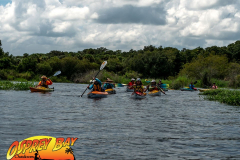 Myakka-river-2021-95