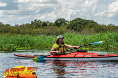 Myakka-river-2021-96