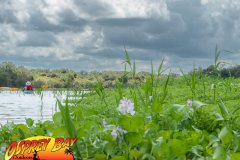 Myakka-river-Sept2022-126