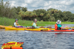 Myakka-river-Sept2022-133