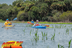Myakka-river-Sept2022-143