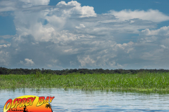 Myakka-river-Sept2022-160