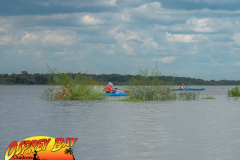 Myakka-river-Sept2022-164