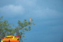 Myakka-river-Sept2022-168