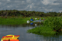 Myakka-river-Sept2022-30