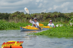 Myakka-river-Sept2022-61