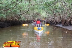 Robinson-Preserve2020-115