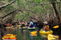 Robinson-Preserve2020-122