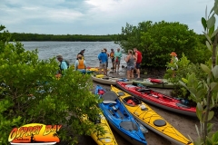 Robinson-Preserve2020-167