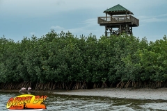 Robinson-Preserve2020-171