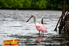 Robinson-Preserve2020-175