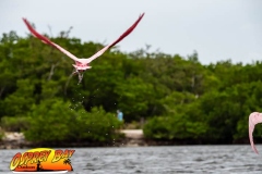 Robinson-Preserve2020-181