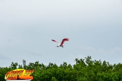 Robinson-Preserve2020-187