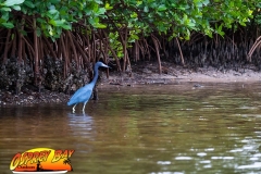 Robinson-Preserve2020-190