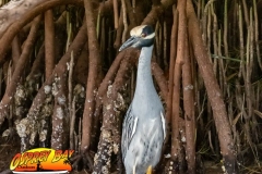 Robinson-Preserve2020-28