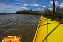 DCIM\100GOPRO\GOPR1162.JPG