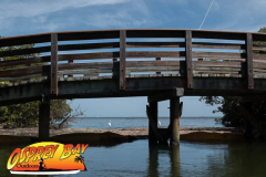 Robinson-2021-web-43