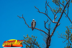 robinson-preserve-2023-122