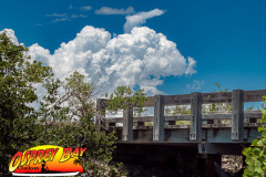 robinson-preserve-2023-134