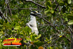 Robinson-Preserve2024-211