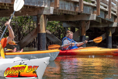 Robinson-Preserve-2025-100