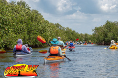 Robinson-Preserve-2025-131