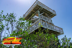 Robinson-Preserve-2025-147