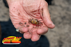 Robinson-Preserve-2025-149