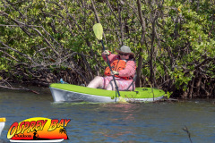 Robinson-Preserve-2025-3