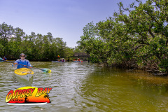 Robinson-Preserve-2025-44