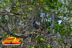 Robinson-Preserve-2025-45