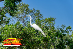 Robinson-Preserve-2025-46