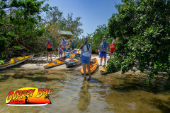 Robinson-Preserve-2025-55