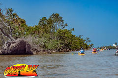 Robinson-Preserve-2025-63