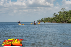 Robinson-Preserve-2025-75