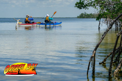 Robinson-Preserve-2025-76