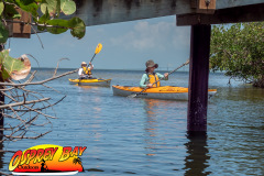 Robinson-Preserve-2025-92