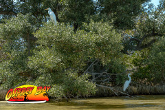 Robinson-preserve-4-2026-100