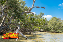 Robinson-preserve-4-2026-104