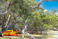 Robinson-preserve-4-2026-105