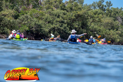 Robinson-preserve-4-2026-109