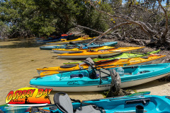 Robinson-preserve-4-2026-111