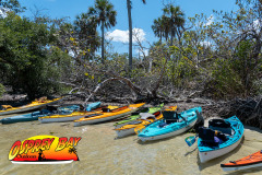 Robinson-preserve-4-2026-112