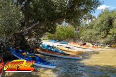 Robinson-preserve-4-2026-113