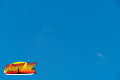 Robinson-preserve-4-2026-114